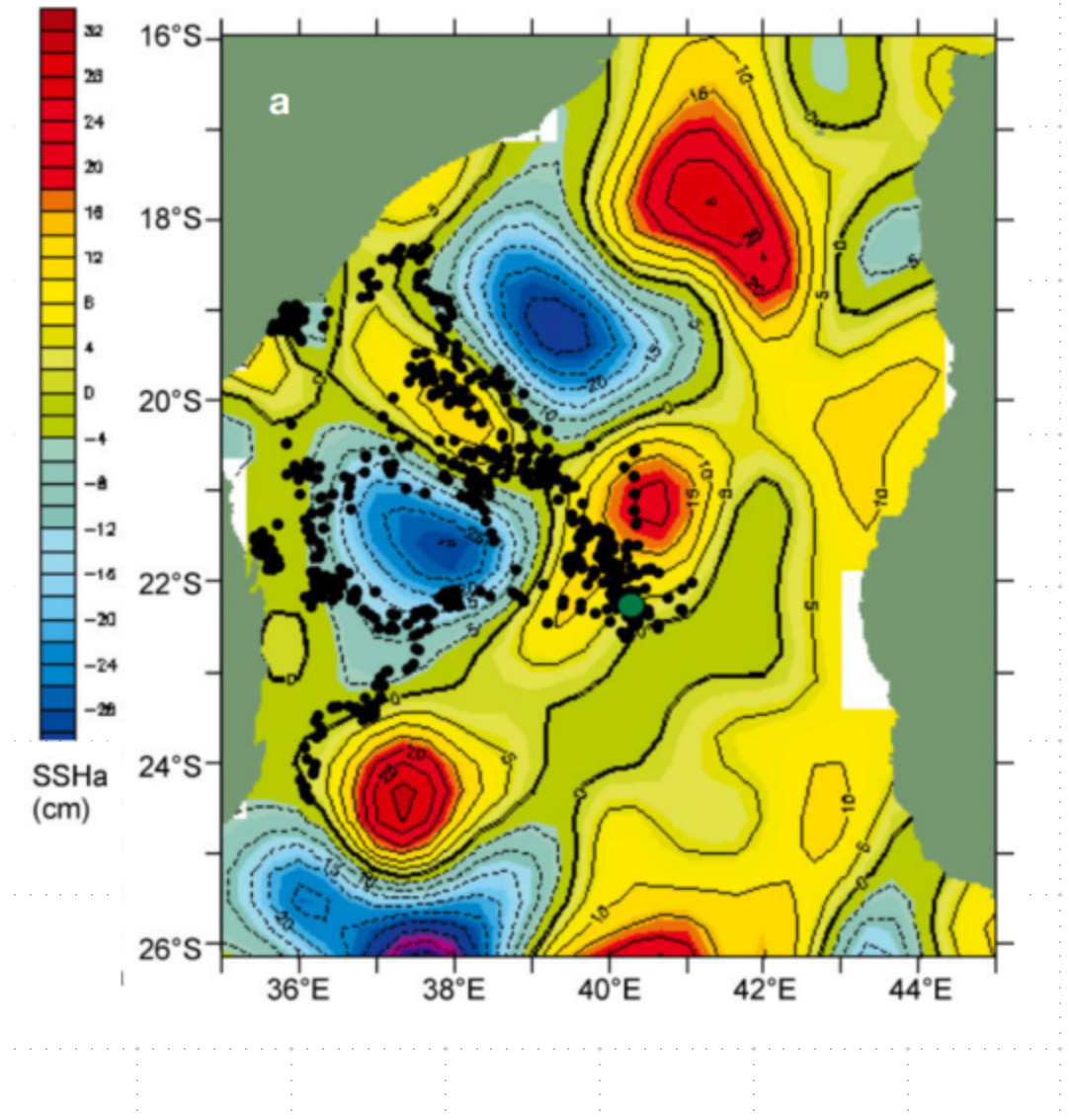 Figure 4 : Exemple de couplage bio-physique entre oiseaux marins et les tourbillons. Les déplacements des frégates, observés par bio-logging (points noirs), sont comparés à la présence de tourbillons cycloniques (anomalies négatives, en bleu) et anticycloniques (anomalies positives, en rouge) détectés par altimétrie satellitaire.  (Weimerskirch et al., 2004)