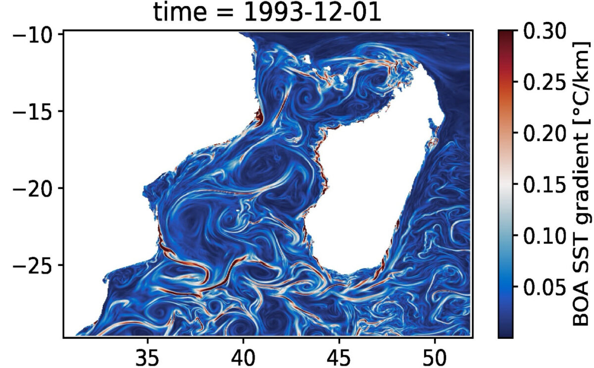 Figure 2 : Carte de la modélisation des gradients de température de surface, mettant en évidence les fronts.